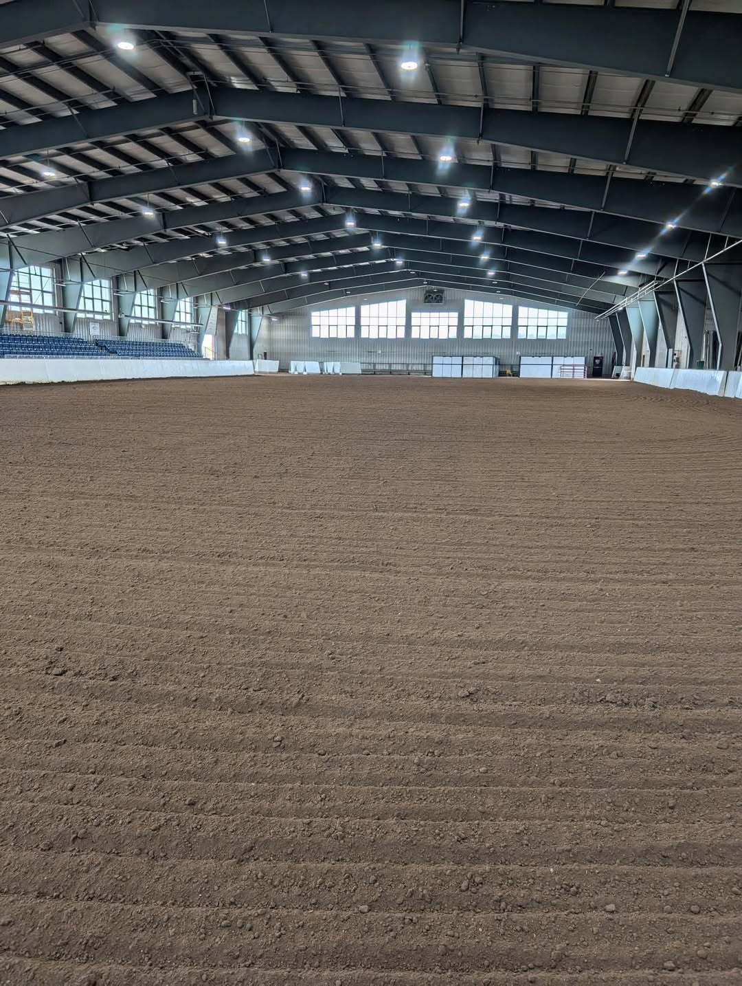 Freshly Groomed Arena